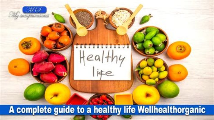 A Guide to a Healthy Life WellHealthOrganic