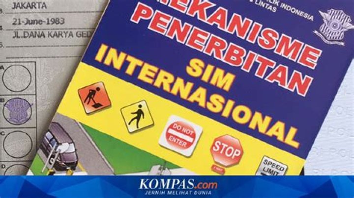 Begini Cara Turis Asing Bikin SIM Internasional di Indonesia