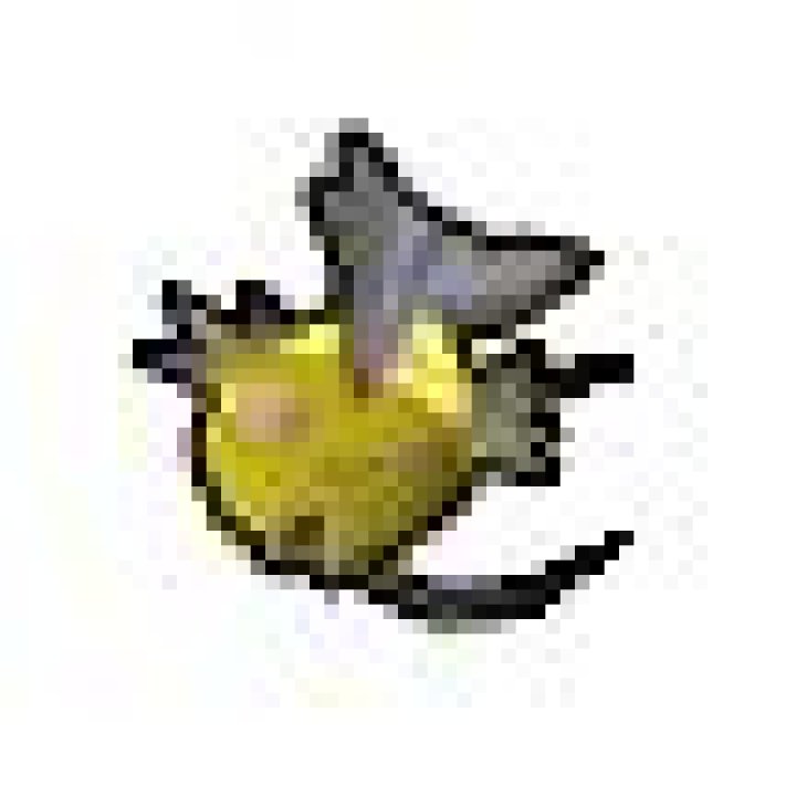 Category:Magikarp - Bulbagarden Archives