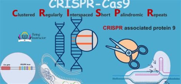 CRISPR Technology: Transforming the Future of Genetic Medicine