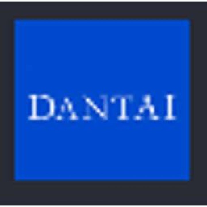 Dantai Capital Ltd 13F annual report (2024)
