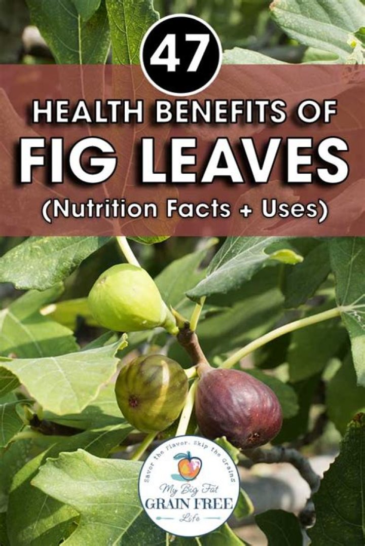 Fig Nutrition: Health Benefits, Facts and Recipes | Signos