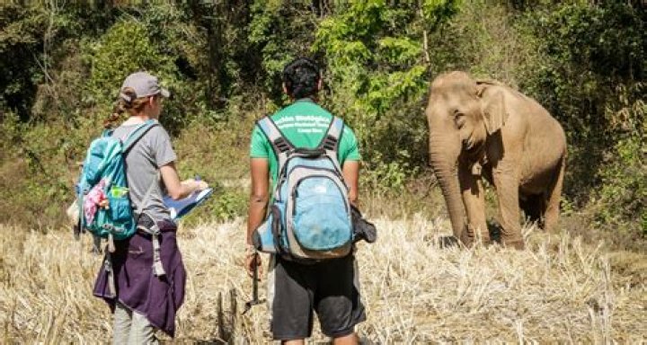 Impact Academy - Wildlife Conservation - School of Professional & Continuing Studies
