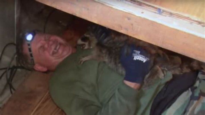 What Happened to the Turtle Man?