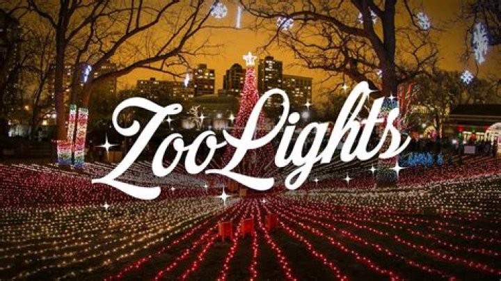 🎄Zoo Lights at Lincoln Children's Zoo
